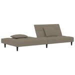 vidaXL Canapé-lit à 2 places avec deux oreillers Gris clair Velours