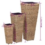 vidaXL Lits surélevés 3 Pièces Jacinthe d'eau Marron