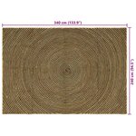 vidaXL Tapis Naturel et Noir 240 x 340 cm Jute