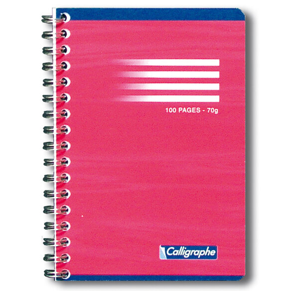 Carnet reliure intégrale 9x14 cm 100 pages Q.5x5 70g CALLIGRAPHE