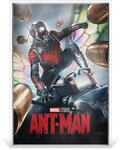 Pièce de monnaie en Argent 2 Dollars g 46.65 (1.5 oz) Millésime 2025 Infinity Saga ANT-MAN