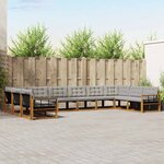 vidaXL Ensemble de canapés d'extérieur 10 Pièces Gris Naturel et Clair