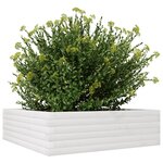 vidaXL Jardinière blanc 80x80x23 cm bois de pin massif