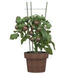 vidaXL Supports pour plantes de jardin 3 anneaux 5Pièces Vert 45 cm Acier