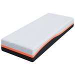 vidaXL Matelas Blanc  Gris 70 x 200 cm Mousse