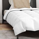 vidaXL Duvet d'été simple avec oreiller 2 Pièces Blanc Plume de canard