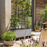 LECHUZA Jardinière TRIO Stone 30 ALL-IN-ONE Gris pierre