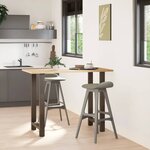 vidaXL Pieds de table de bar en acier naturel  2 pièces  60 x (100-101) cm