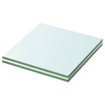 vidaXL Panneaux d'étagère 2 Pièces Verre Transparent 20 x 15 cm