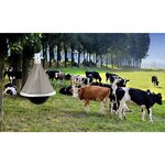 Kerbl piège à taon taonx fer galvanisé blanc et noir 323500