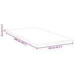 vidaXL Surmatelas en mousse à mémoire 120 x 200 cm Thick Doux Blanc