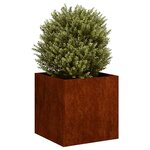 vidaXL Jardinière rouillé 40x40x40 cm acier inoxydable