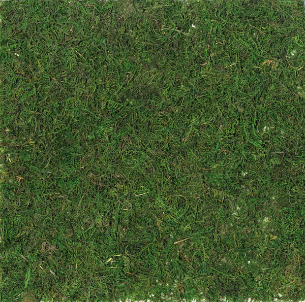 Herbe / mousse synthétique 30 cm