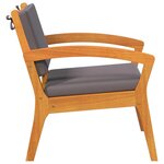 vidaXL Chaise de jardin avec coussin 2 Pièces Marron Bois d'acacia massif