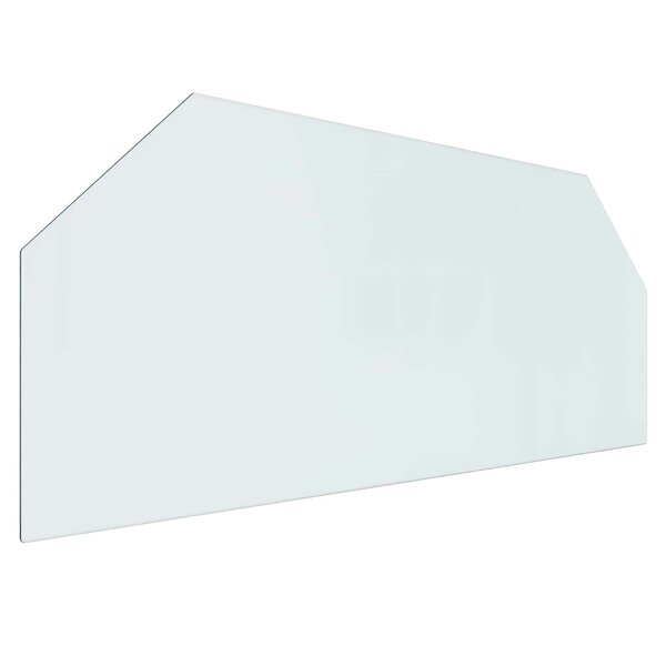 vidaXL Plaque en verre de cheminée Transparent 120 x 50 cm Verre