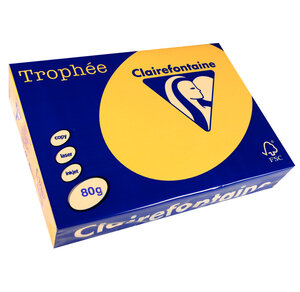 Ramette 500 Feuilles Papier 80g A4 210x297 mm Certifié FSC Bouton d'Or TROPHÉE