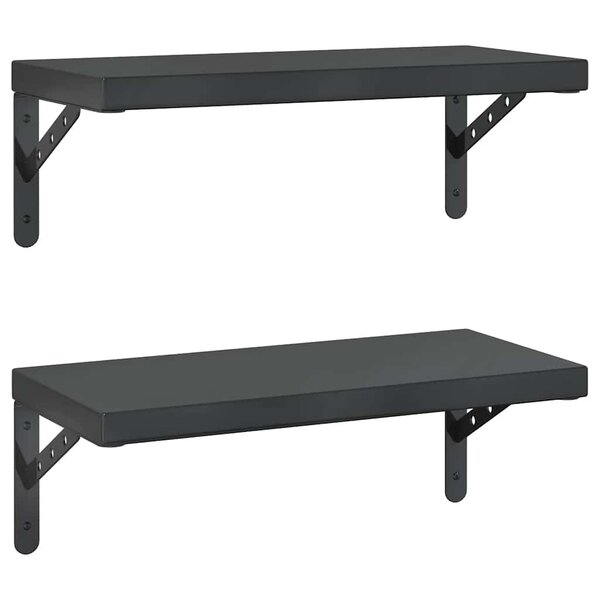 vidaXL Étagères murales 2 Pièces 50x23 5 cm noir acier inoxydable