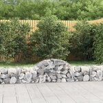 vidaXL Paniers à gabions arqués 15 Pièces 200x50x40/60 cm fer galvanisé