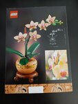 LEGO Botanicals - L'orchidée miniature - Set de construction 10343 pour adultes