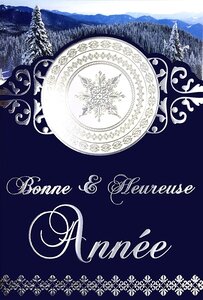 Carte bonne année argenté présentez vos meilleurs vœux souhaits avec enveloppe
