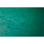 Trieur Harmonika fenêtres imprimées sans élastique Nature Future carte lustrée 24 c... EXACOMPTA