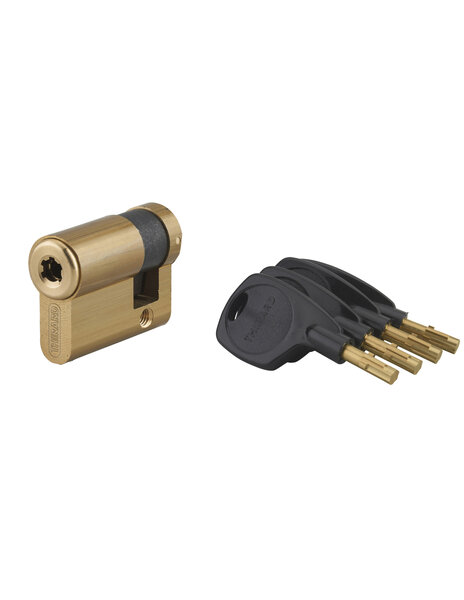 THIRARD - Demi-cylindre de serrure Surveyor  31x10mm  laiton  anti-arrachement  4 clés - THIRARD