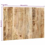 vidaXL Tête de lit 120 cm bois de manguier brut massif