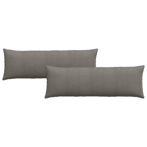 vidaXL Coussins de canapé 2 Pièces Gris clair 120 x 40 cm