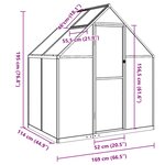 vidaXL Serre avec cadre de base vert 169x114x195 cm aluminium