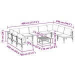 vidaXL Ensemble de canapé de jardin 10 Pièces Anthracite Acier