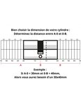 THIRARD - Demi-cylindre de serrure Trafic 12  30x10mm  laiton  anti-arrachement  anti-perçage  anti-casse  5 clés - THIRARD