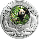 Monnaie GIANT PANDA Save the World Argent 500 Francs Cameroon 2026 (PRÉCOMMANDE)