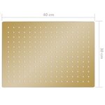 vidaXL Pomme de douche pluie Inox 40x30 cm Rectangulaire Doré
