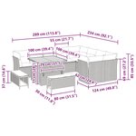 vidaXL Ensemble de canapé de jardin avec coussin 12 Pièces beige et crème