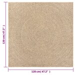 vidaXL Tapis ZIZUR 120x120 cm aspect de jute intérieur et extérieur