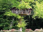 SMARTBOX - Coffret Cadeau Séjour insolite en famille : 3 jours dans les arbres avec chasse au trésor près de Poitiers -  Séjour
