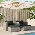 vidaXL Salon de jardin 5 Pièces avec coussins gris résine tressée acacia