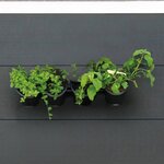 Nature Kit de fleurs et d'herbes/jardin vertical