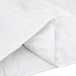 vidaXL Couettes & Duvets Blanc 200 x 200 cm Bas