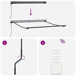 vidaXL Store rétractable automatique - Anthracite 300x250 cm