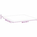 vidaXL Coussins de Matelas Blanc 200 x 200 cm Mousse PU
