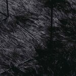 vidaXL Tapis shaggy à poils longs NAVARRA noir 120x120 cm polyester