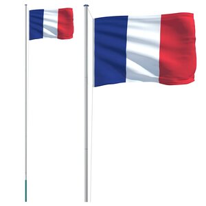 vidaXL Drapeau de la France et mât 6 08 m Aluminium