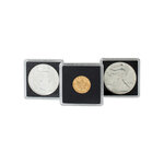 Capsules numismatiques Quadrum Intercept 20mm.