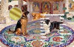 Pièce de monnaie en Or 30 Dollars g 0.155 (1/200 oz) Millésime 2026 Mandala DOG (PRÉCOMMANDE)