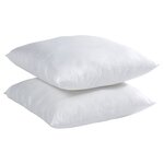 2 oreillers microfibre anti-acariens 60 x 60 cm