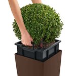 Lechuza jardinière cubico color 40 all-in-one muscade 13151
