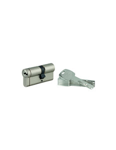 THIRARD - Cylindre double entrée Transit 1  30x40mm  nickelé  5 clés - THIRARD