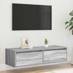 vidaXL Meuble TV avec lumières LED sonoma gris 100X35 5x25 cm