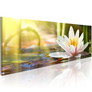 Tableau - lotus' glow l x h en cm 150x50